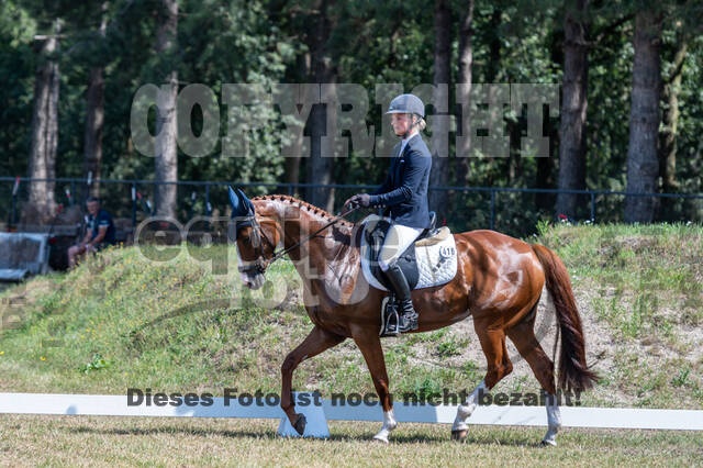 Kronenberg - De Peelbergen (August 2020)