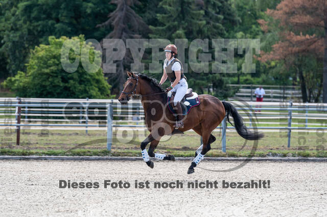 Late-Entry-Vielseitigkeit Langenfeld (11.+13./14.06.2020)