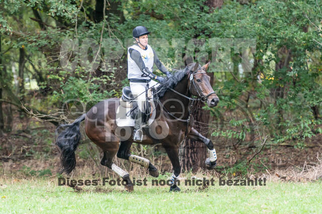 Vielseitigkeit RSV Wesel Obrighoven (26.+27.09.2020)