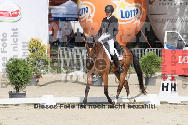 FEI European Championship Eventing 2017