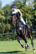 Kronenberg - De Peelbergen (August 2020)