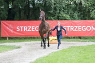 FEI European Championship Eventing 2017