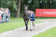 FEI European Championship