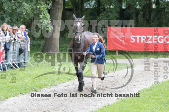 FEI European Championship