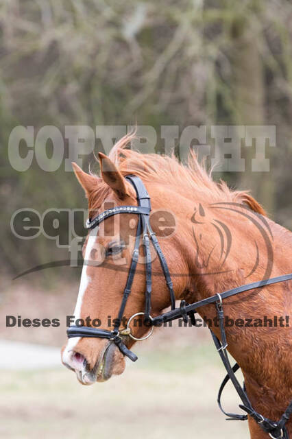Geländetraining RSV St. Hubertus Wesel Obrighoven