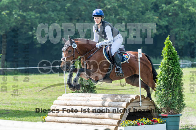 Goldene Schärpe 2021 - Ponys