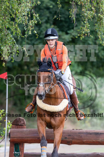 Late-Entry-Vielseitigkeit Langenfeld (11.+13./14.06.2020)