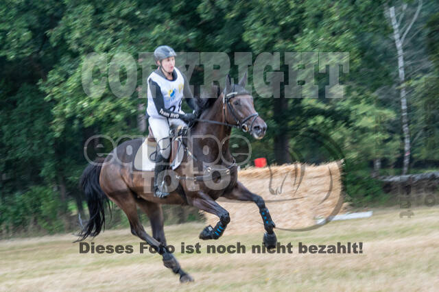 Late-Entry Vielseitigkeit Hamminkeln/Wesel (01.+02.08.2020)