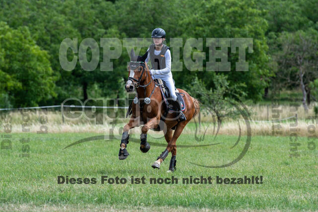 Bonn-Rodderberg Late-Entry-Vielseitigkeit (30.06.2020)