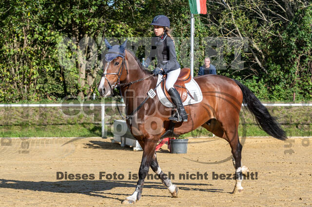 RFV Dinslaken-Hiesfeld (Herbstturnier)