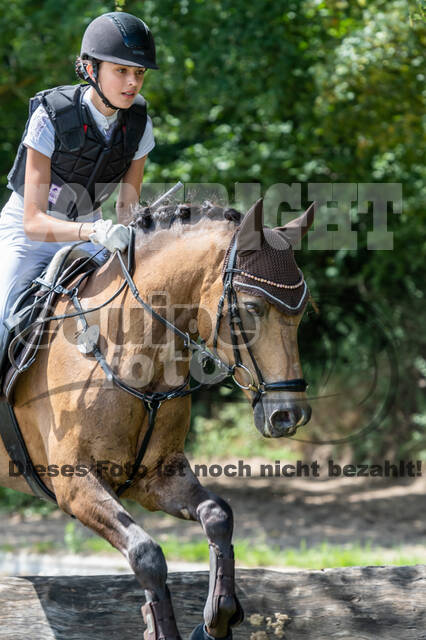 Late-Entry-Vielseitigkeit Langenfeld (06.+07.07.2020)