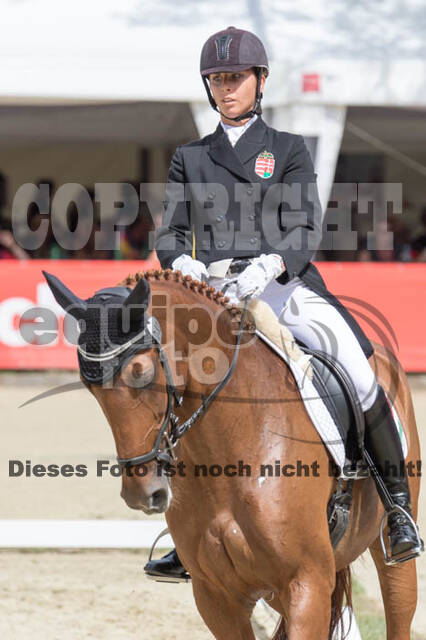 FEI European Championship Eventing 2017