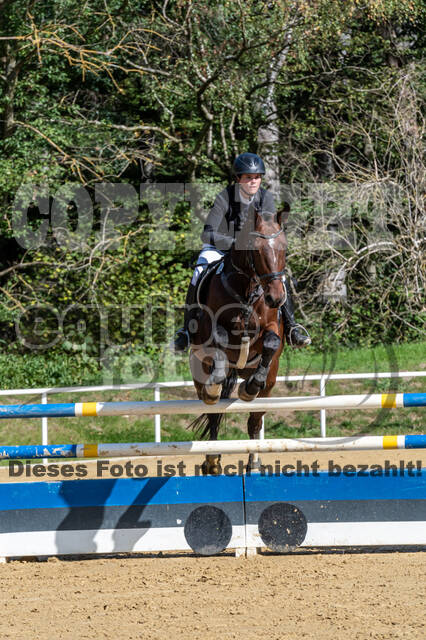 RFV Dinslaken-Hiesfeld (Herbstturnier)