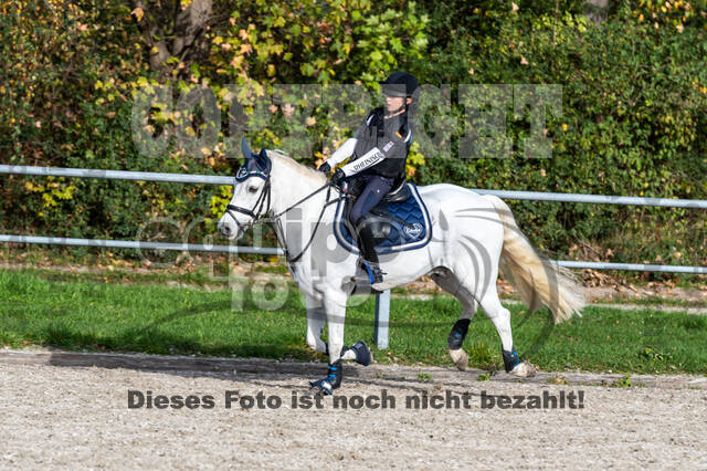 IGV Lehrgang der Sieger der Cups mit Frank Ostholt