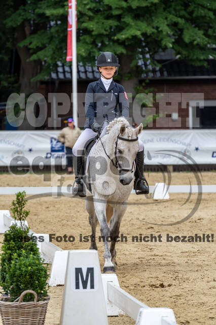 Goldene Schärpe 2021 - Ponys