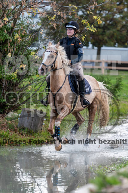 IGV Lehrgang der Sieger der Cups mit Frank Ostholt