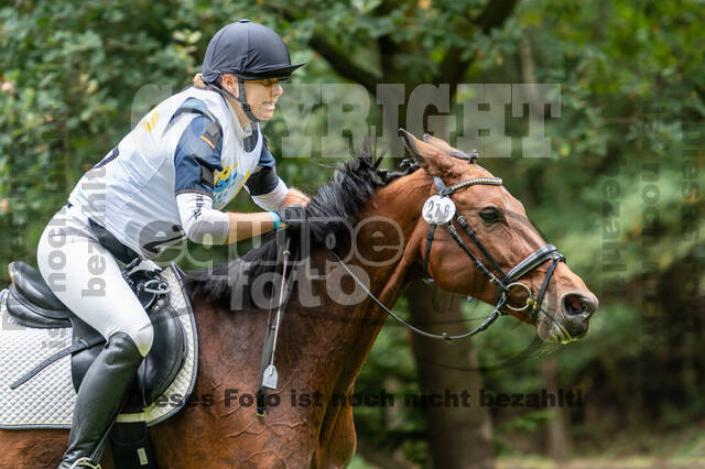 Vielseitigkeit RSV Wesel Obrighoven (26.+27.09.2020)