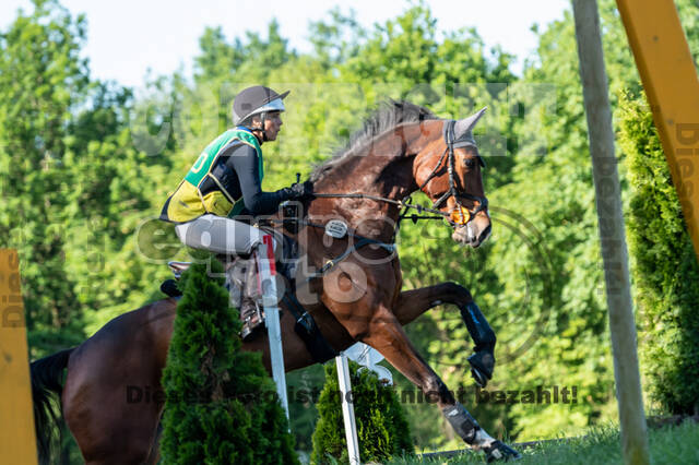 Westerstede Horse Trials (10.-13.06.2021)