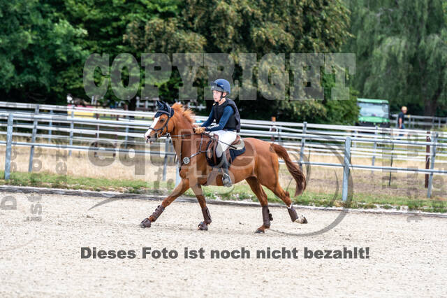 Late-Entry-Vielseitigkeit Langenfeld (11.+13./14.06.2020)