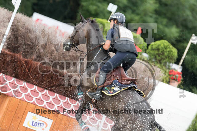 FEI European Championship