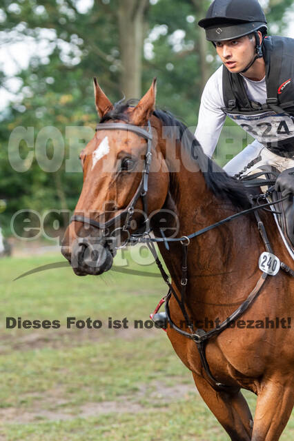 De Peelbergen (August 2020)