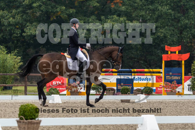 Deutsche Meisterschaft Vielseitigkeit (Luhmühlen)