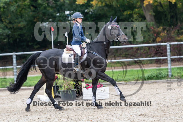 Reiter Schleswig-Holstein