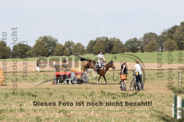 IGV Kleve - Vielseitigkeitsturnier