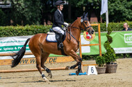 Goldene Schärpe 2021 - Ponys