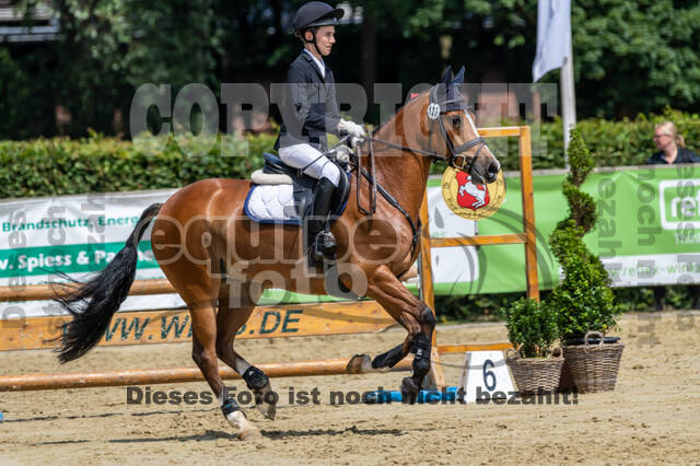 Goldene Schärpe 2021 - Ponys