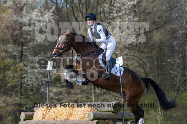 Sophie Leube , Nofretete 15 