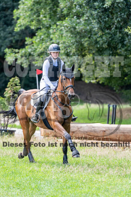 Late-Entry-Vielseitigkeit Langenfeld (06.+07.07.2020)