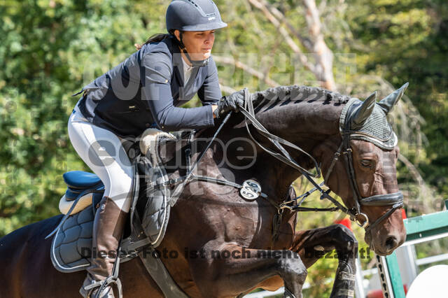 RFV Dinslaken-Hiesfeld (Herbstturnier)