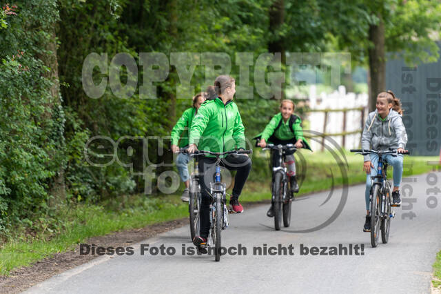 Goldene Schärpe 2021 - Ponys