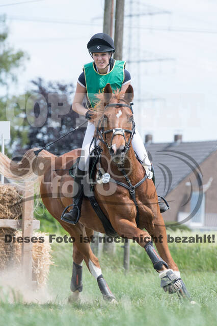 Vielseitigkeitsturnier ZRuFV von Lützow Hamminkeln