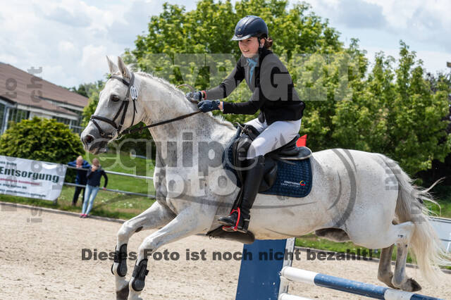 Late-Entry-Vielseitigkeit Langenfeld (06.+07.07.2020)