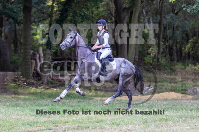 Late-Entry Vielseitigkeit Hamminkeln/Wesel (01.+02.08.2020)