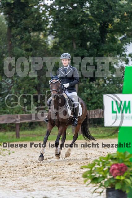 Vielseitigkeit RSV Wesel Obrighoven (26.+27.09.2020)