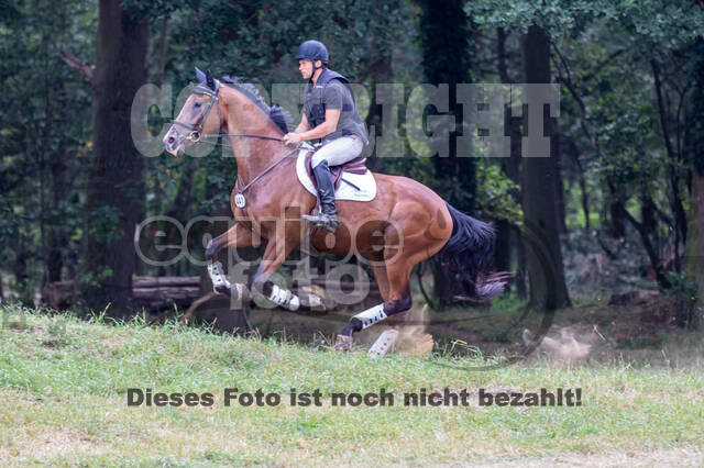 Late-Entry Vielseitigkeit Hamminkeln/Wesel (01.+02.08.2020)