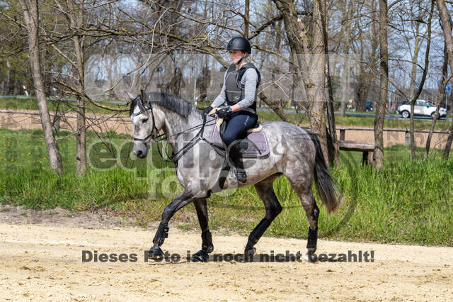 Geländetraining ZRFV Hamminkeln (24+25.04.2021)