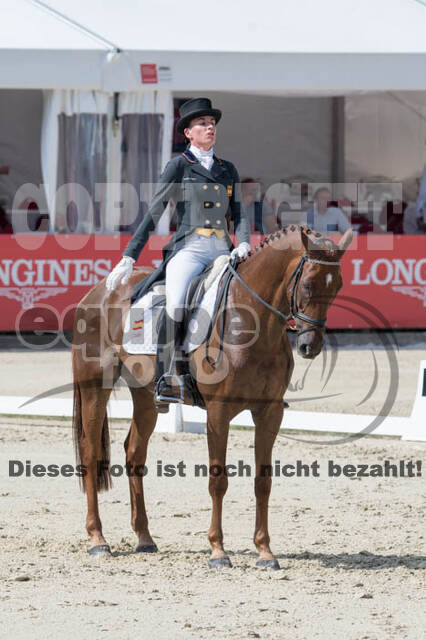 FEI European Championship Eventing 2017