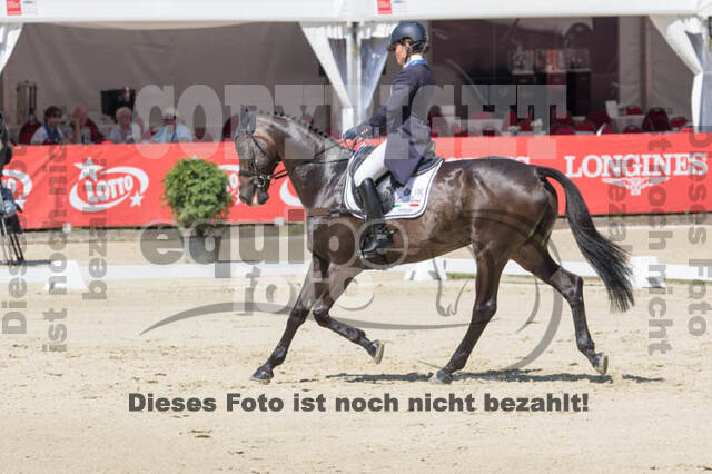 FEI European Championship