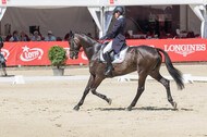 FEI European Championship