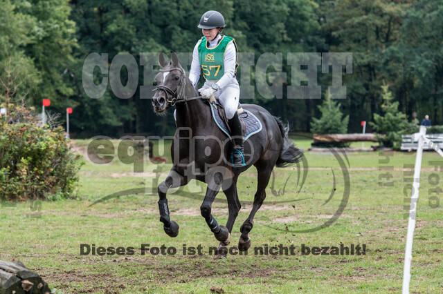 Vielseitigkeit RSV Wesel Obrighoven (26.+27.09.2020)