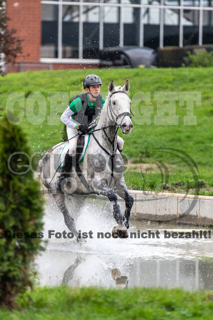 Goldene Schärpe 2020 - Pferde