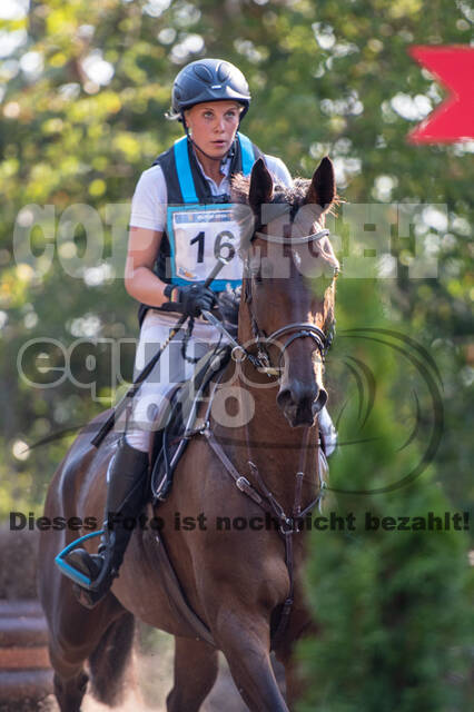 De Peelbergen (August 2020)