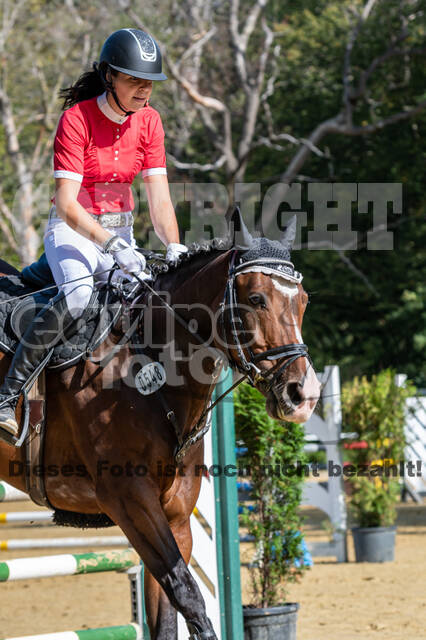 RFV Dinslaken-Hiesfeld (Herbstturnier)