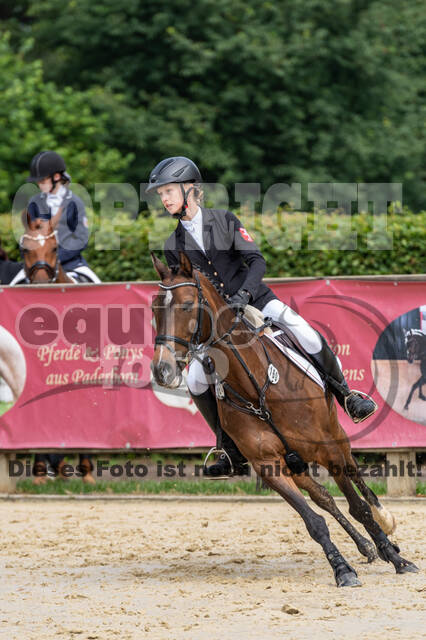 Goldene Schärpe 2021 - Ponys