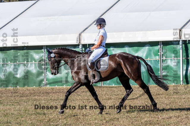 Kronenberg - De Peelbergen (August 2020)