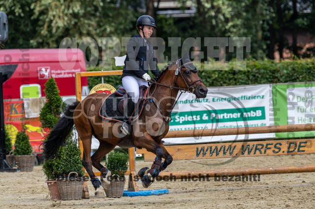 Goldene Schärpe 2021 - Ponys